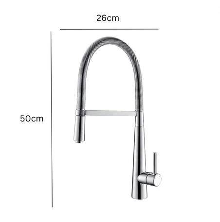 Exel Brass Pull Out Kitchen Mixer