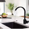 Exel Lotus Black Kitchen Sink Mixer