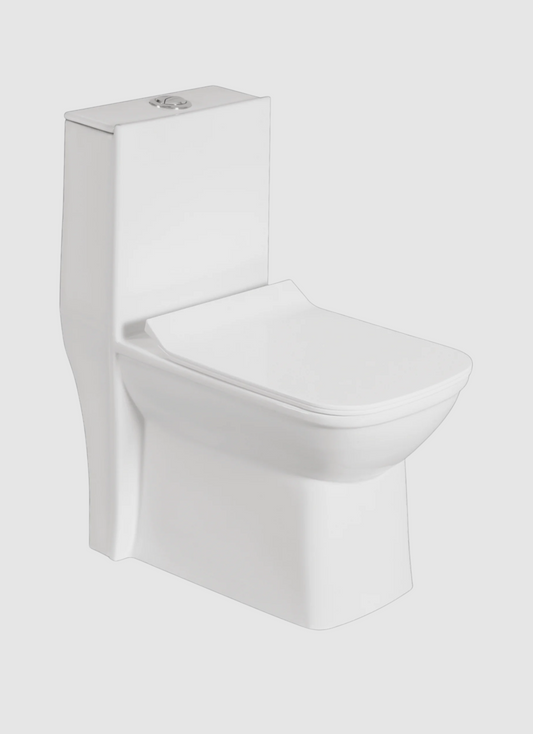 Aspen One Piece Standing Toilet Suite