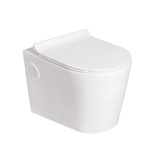 Exel Wall Hung Toilet - Alaska